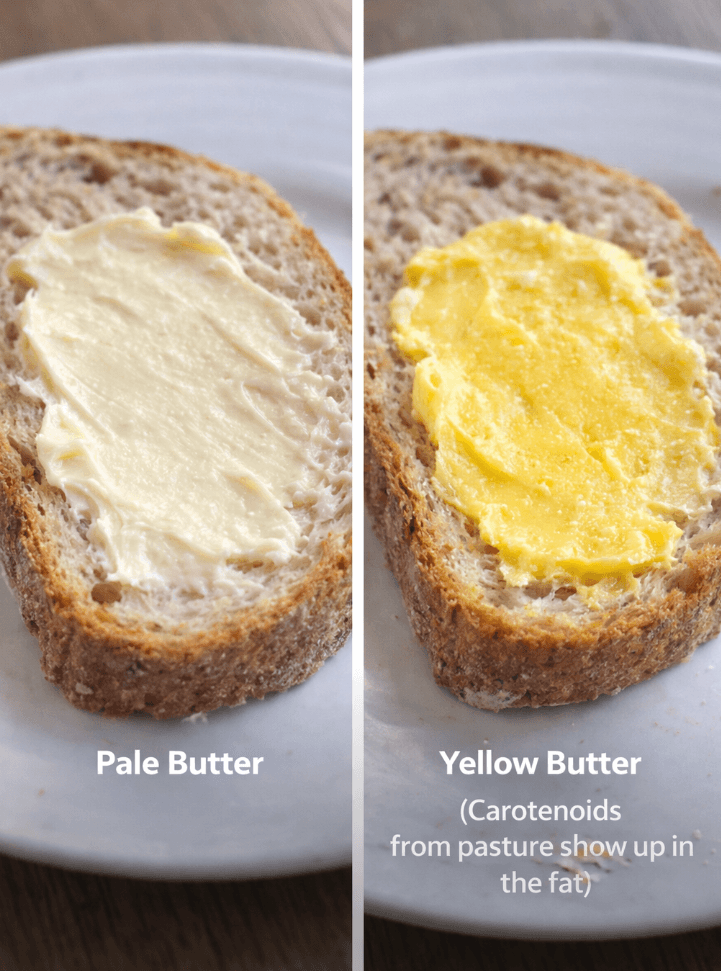 pale_vs_yellow_butter.png